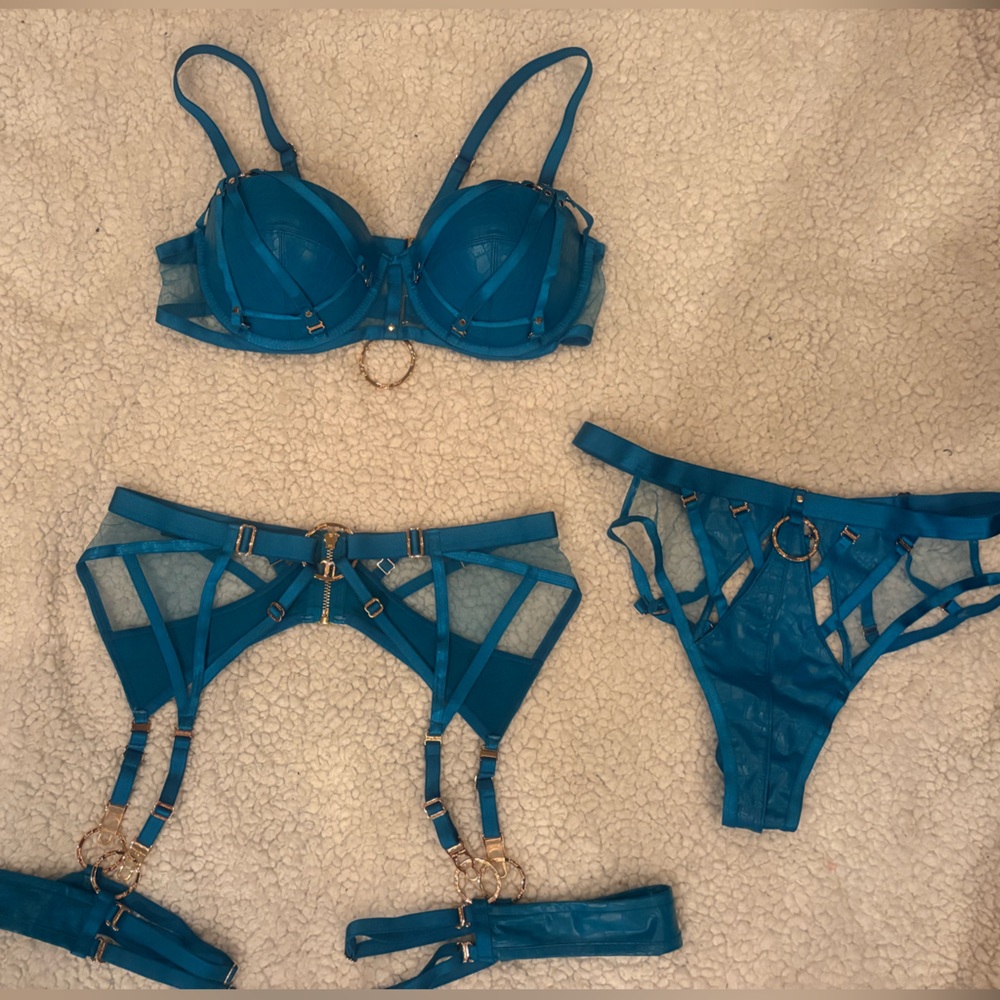 SOLD Rare Beautiful ‘Mistress T’ Honey Birdette Set